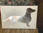 Preview: Leinwandbild mit beleuchtetem Silberdackel