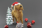 Preview: Filzdackel mit Weihnachtsmütze