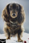 Preview: Bling-Bling-Kette mit Knochen