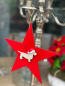 Preview: Samtstern rot mit Weihnachtsdackel