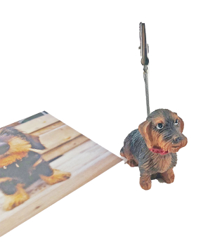 Postkartenhalter Rauhhaardackel