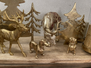 kleiner goldener Dackel in zwei Ausführungen