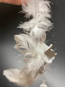 Federengel mit Silberdackel