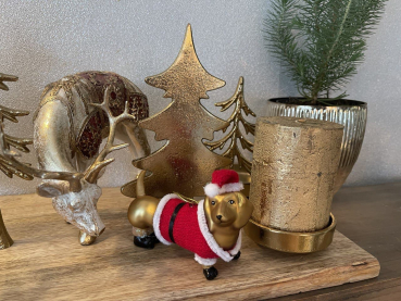 Goldener Dackel in Strick