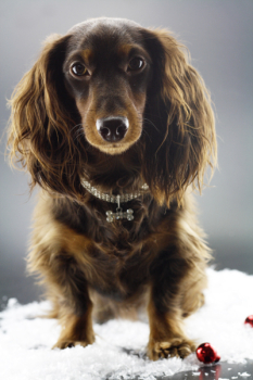 Bling-Bling-Kette mit Knochen