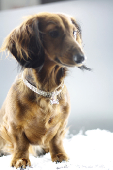 Bling-Bling-Kette mit Knochen