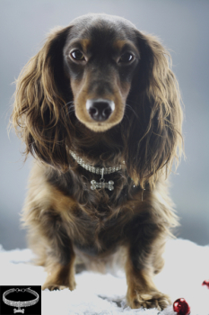 Bling-Bling-Kette mit Knochen