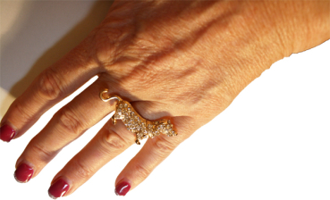 Dackelring 5 silber od. gold