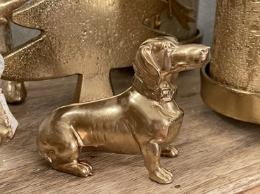 kleiner goldener Dackel in zwei Ausführungen