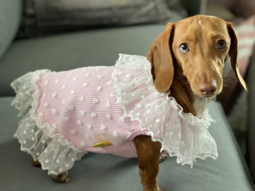 Rosa Kleid mit Herzen