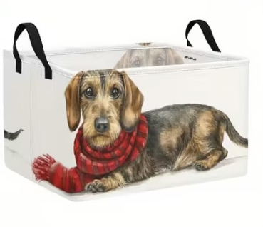 Faltbox mit Winterrauhi