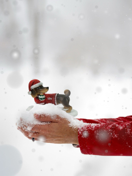 Niedlicher Weihnachtsdackel