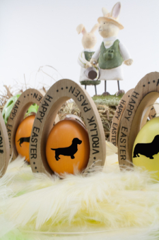 Buntes Hühnerei mit Dackelmotiv im Holzei