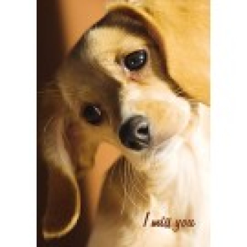 Postkarte " I miss you"