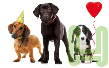 Klappkarte "3 Hunde"