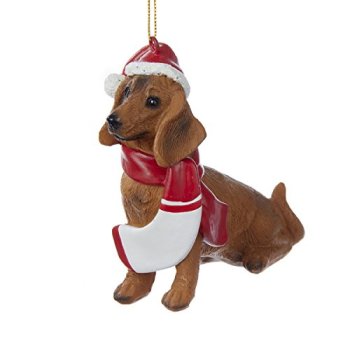 Weihnachtsdackel mit Nikolausmütze