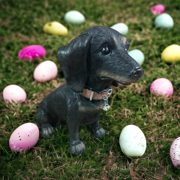 Schwarzer Dackel sitzend