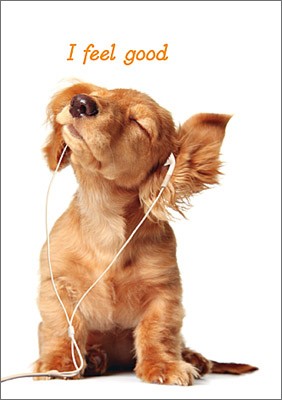 Dackelparadies - Postkarte "I feel good"