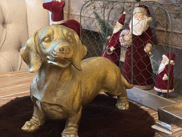 Grosser goldener Dackel stehend