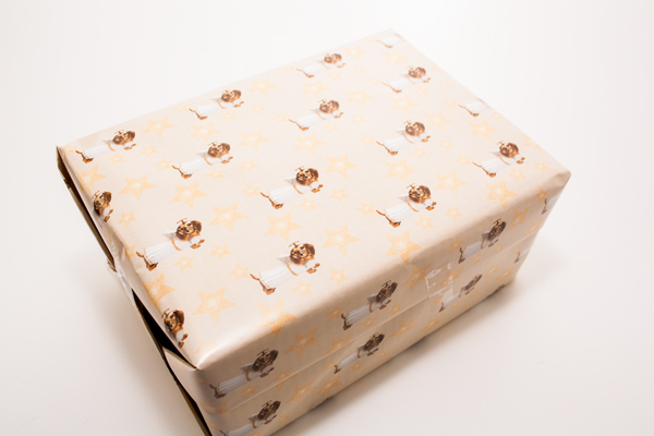 Geschenkpapier Weihnachtsdackelengel