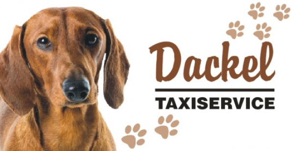 Taxidackel Aufkleber Kurzhaardackel