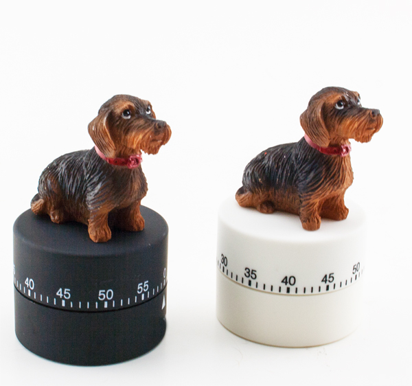 Küchentimer Rauhhaardackel schwarz od. weiß