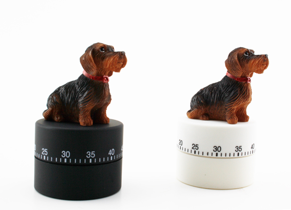 Küchentimer Rauhhaardackel schwarz od. weiß