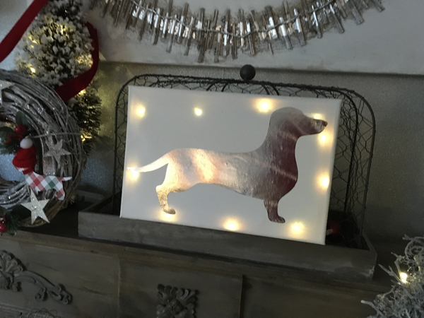 Leinwandbild mit beleuchtetem Silberdackel