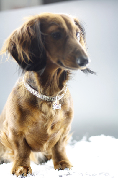 Bling-Bling-Kette mit Knochen