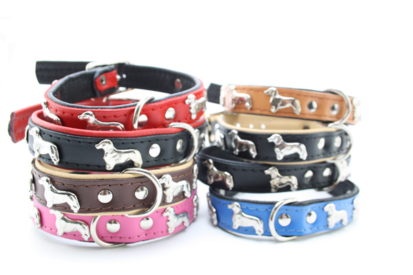 Dackel-Lederhalsband 35  verschiedene Farben