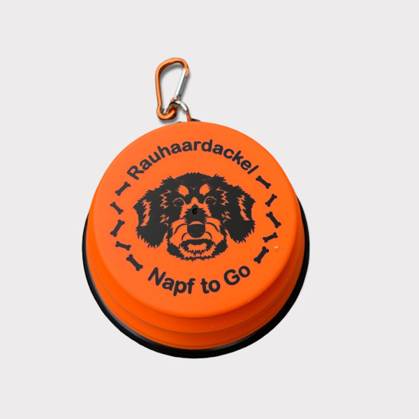 Rauhhaardackelnapf "to go'"
