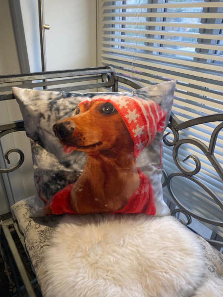 Kissenhülle mit Weihnachtsdackel