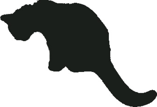 Keksform Katze 5