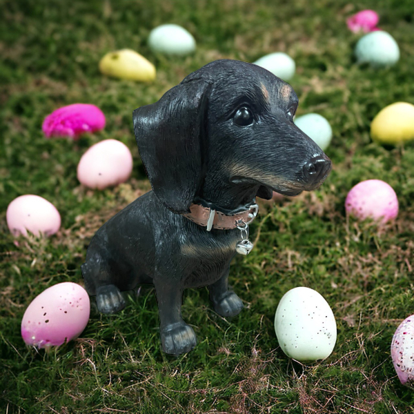 Schwarzer Dackel sitzend