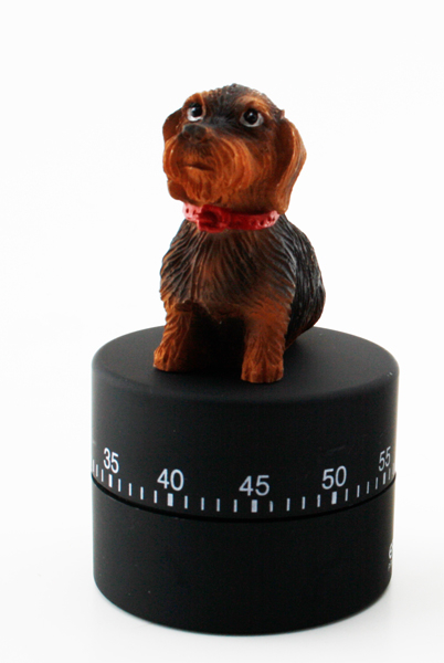 Küchentimer Rauhhaardackel schwarz od. weiß